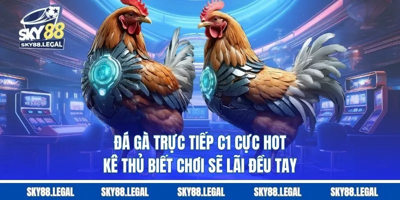 Đá Gà Trực Tiếp C1 Cực Hot - Kê Thủ Biết Chơi Sẽ Lãi Đều Tay