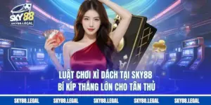 Luật Chơi Xì Dách Tại SKY88 - Bí Kíp Thắng Lớn Cho Tân Thủ