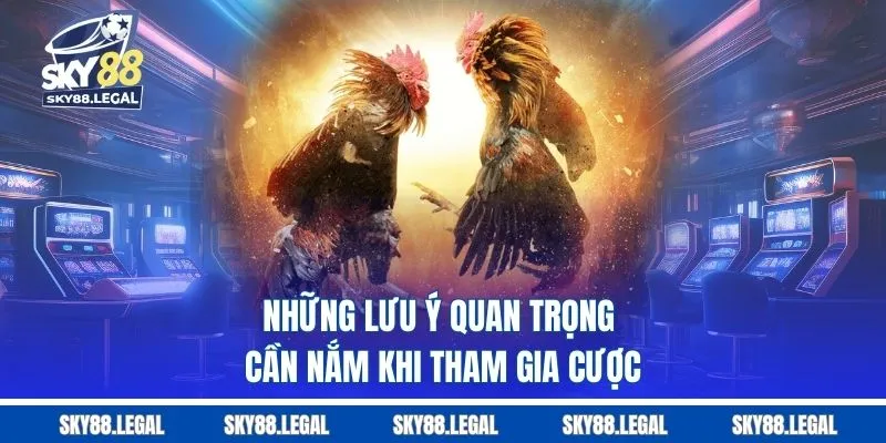 Những lưu ý quan trọng cần nắm khi tham gia cược