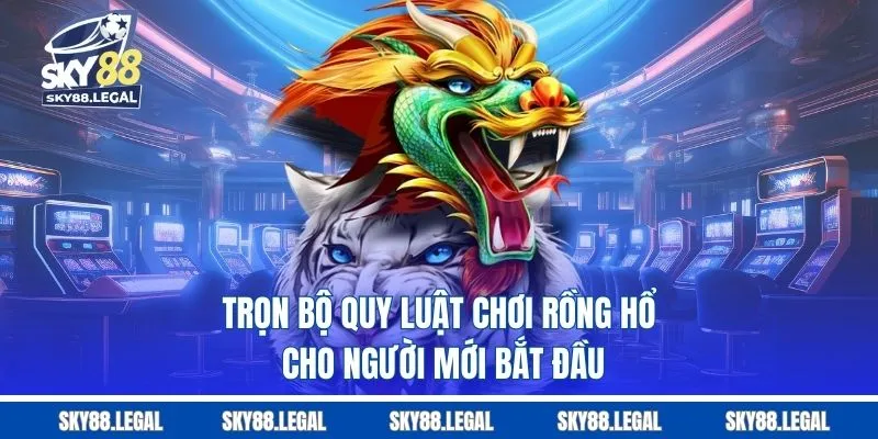 Trọn bộ quy luật chơi Rồng Hổ cho người mới bắt đầu