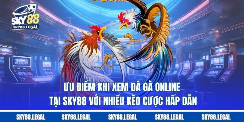 Ưu điểm khi xem đá gà online tại sky88 với nhiều kèo cược hấp dẫn