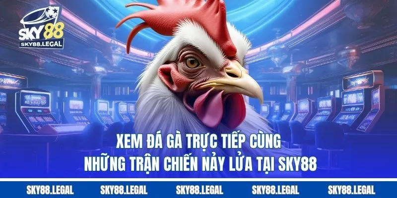 Xem Đá Gà Trực Tiếp Cùng Những Trận Chiến Nảy Lửa Tại sky88